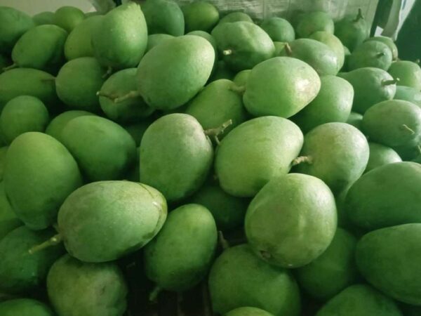 হিমসাগর / Himsagar Mango With Delivery Charge - Image 3