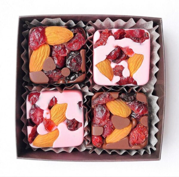 SUGAR FREE Fruits and Nuts with Healthy Chocolate - 4 Pcs - Image 2