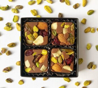 SUGAR FREE Fruits and Nuts with Healthy Chocolate – 4 Pcs
