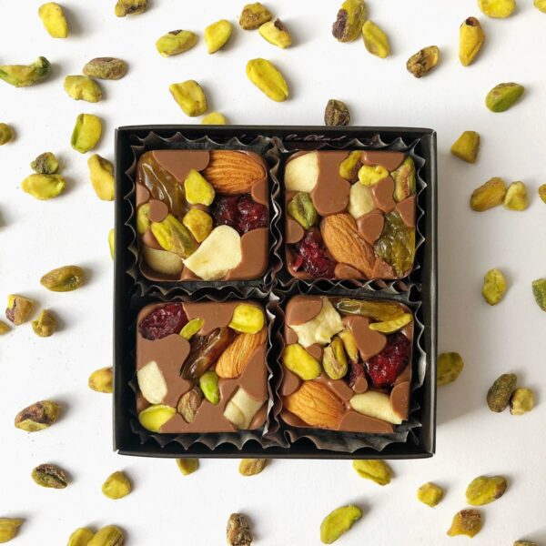 SUGAR FREE Fruits and Nuts with Healthy Chocolate - 4 Pcs